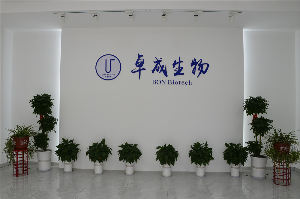 Zhuocheng Front Desk