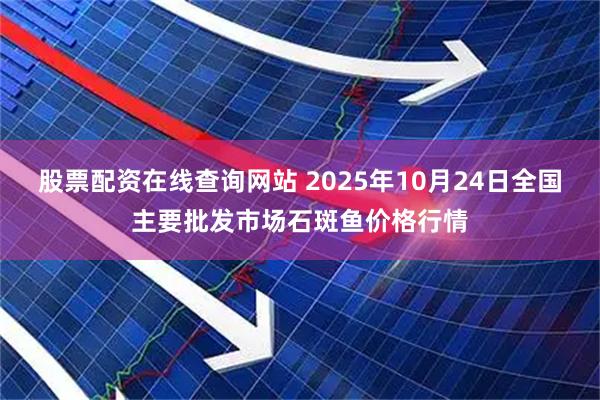 股票配资在线查询网站 2025年10月24日全国主要批发市场石斑鱼价格行情